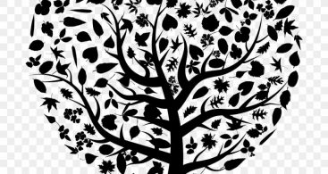 367x195 Family Tree Silhouette Vector Archives Vector Images Design