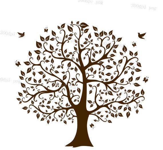 570x525 Cricut Family Tree Art, Tree Tree