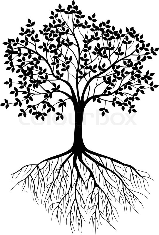 541x800 Tree Silhouette Background Stock Vector Colourbox