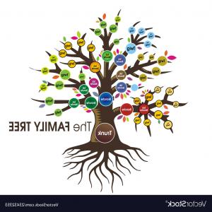 300x300 Family Tree Human Tree Vector Catchsplace
