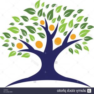 300x300 Family Tree Logo Template Vector Icon Design Image Newwaysys