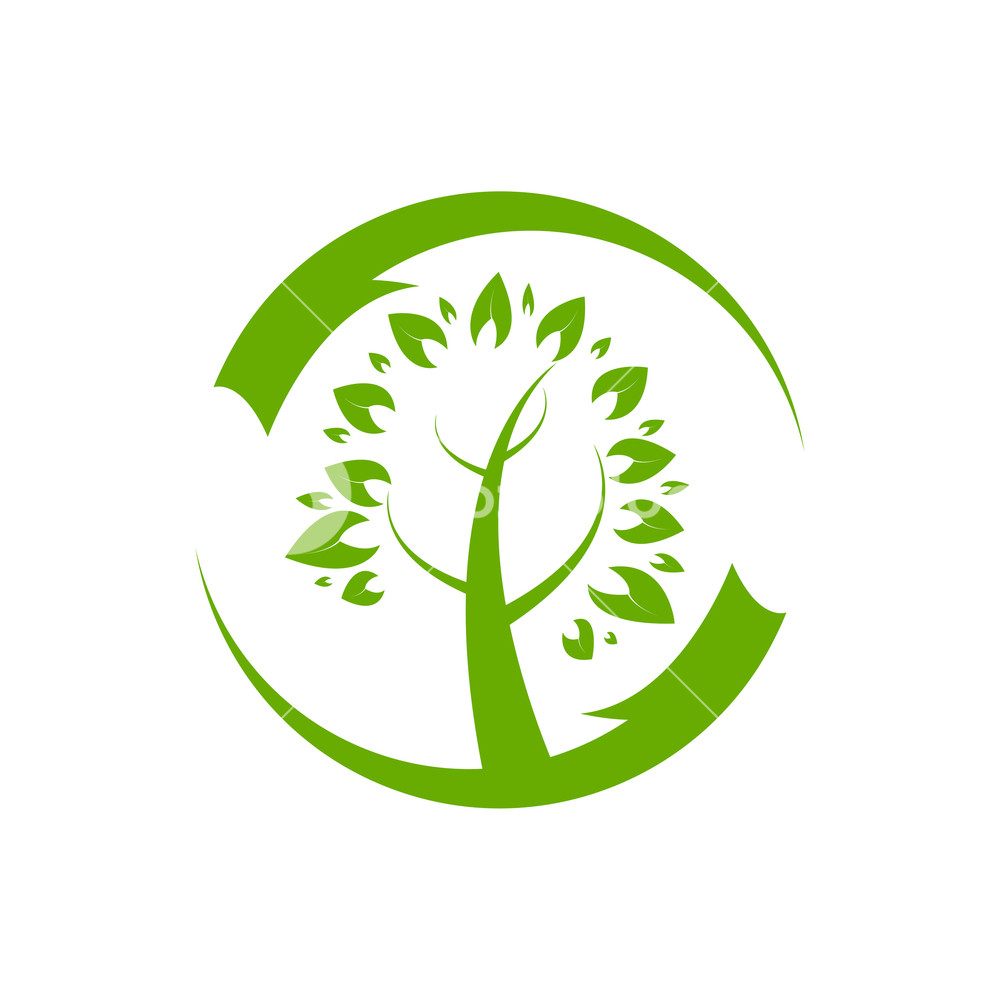 1000x1000 Family Tree Logo Template Vector Icon Illustration Design Royalty