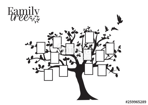 Family Tree Vector at Vectorified.com | Collection of Family Tree ...