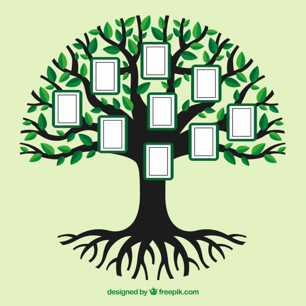 Family Tree Vector at Vectorified.com | Collection of Family Tree ...