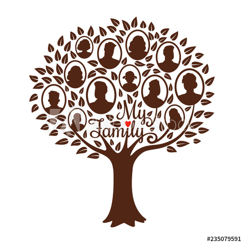 Family Tree Vector at Vectorified.com | Collection of Family Tree ...
