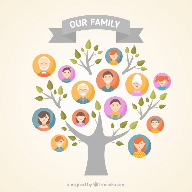 graphic representation of family tree