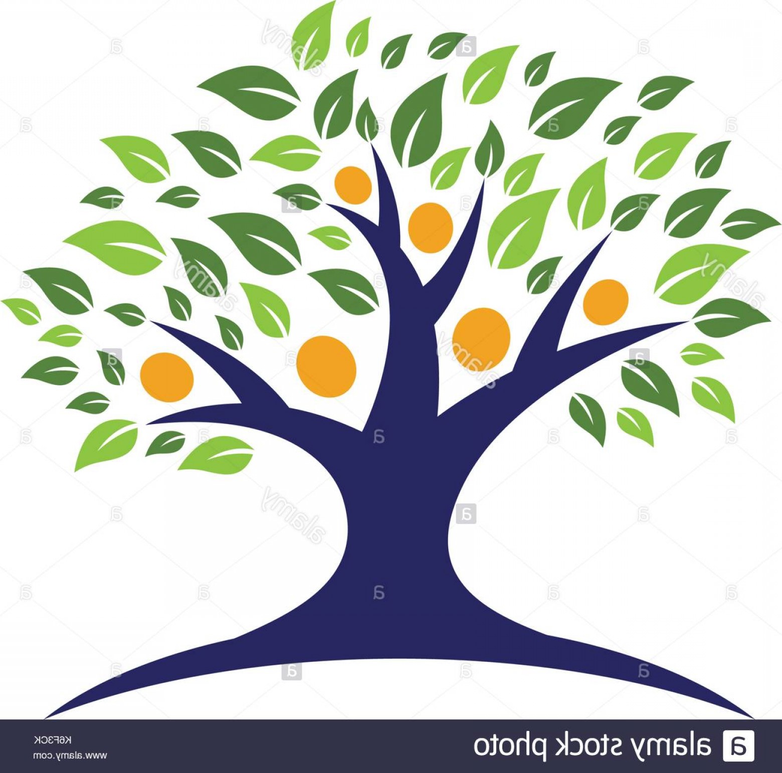 1560x1542 Family Tree Logo Template Vector Icon Design Image Newwaysys