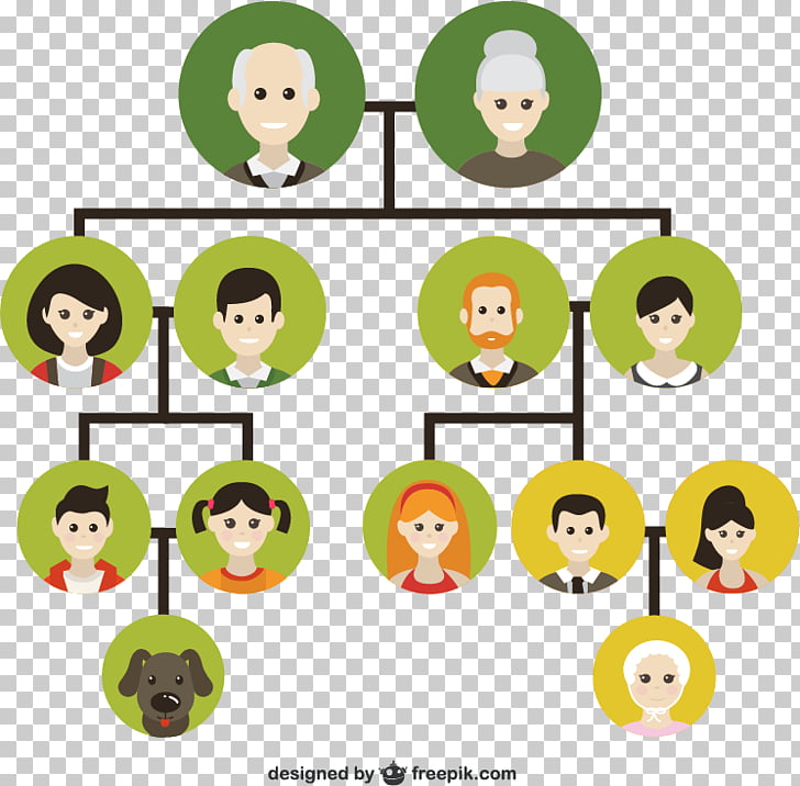 728x716 Family Tree Genealogy Icon, Family Tree Illustration Material