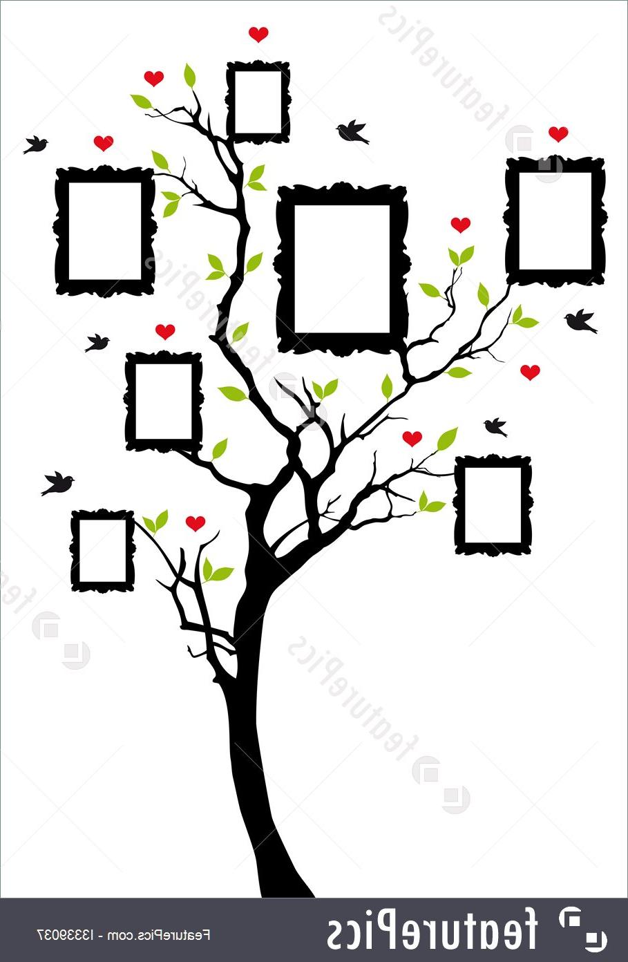 909x1392 Best Blank Family Tree Diagram Vector Photos Free Vector Art