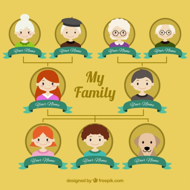 626x626 My Family Tree Vector Free Download