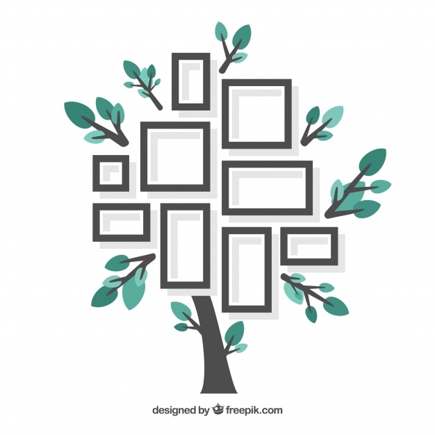 Family Tree Vectors, Photos And Free Download 626x626 Family Tree Vectors, Photos And Free Download