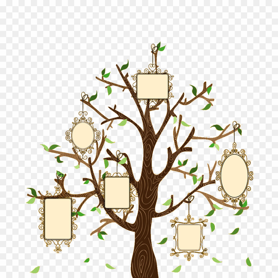 Family Trees Vectors Png Family Tree Genealogy Clipart Download 900x900 Family Trees Vectors Png Family Tree Genealogy Clipart Download