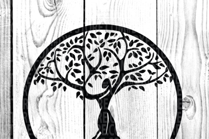 Free Life Of Tree Tree Tattootree Vector,family Tree 720x480 Free Life Of Tree Tree Tattootree Vector,family Tree