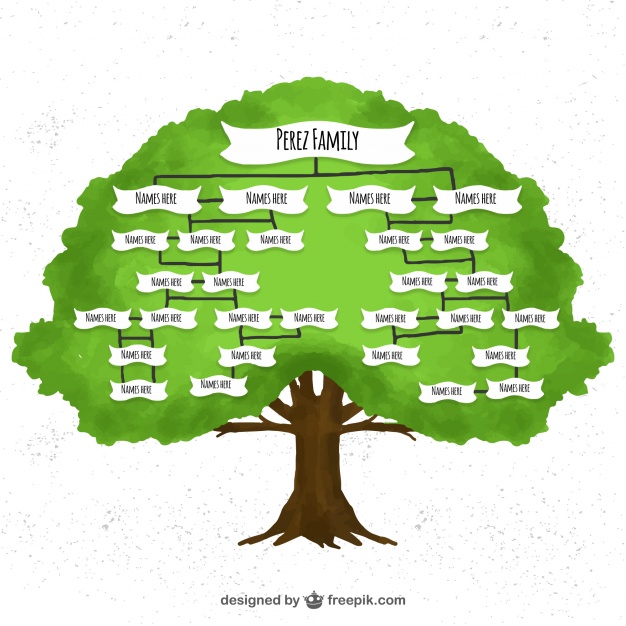 Watercolor Family Tree Vector Free Download 626x626 Watercolor Family Tree Vector Free Download
