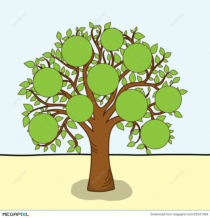 Family Tree, Vector Illustration 800x830 Family Tree, Vector Illustration