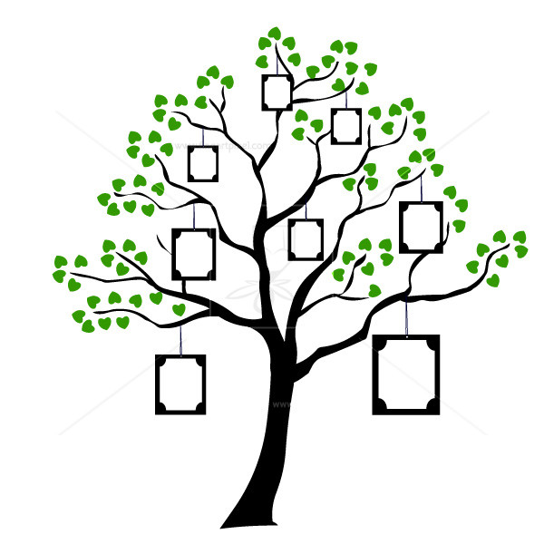 600x600 Family Tree With Frames Free Vectors, Illustrations, Graphics, Clipart