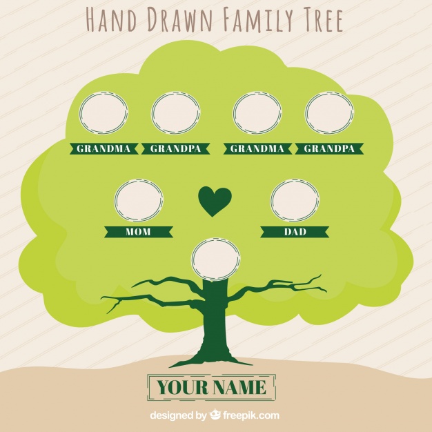 Family Tree Vector Free Download at Vectorified.com | Collection of ...