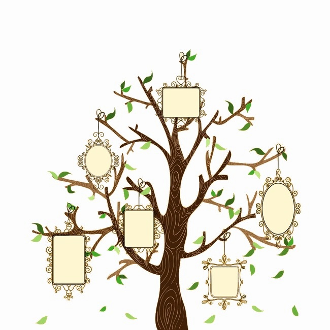 650x650 Tree Branch Clipart Png Elegant Family Tree Vectors