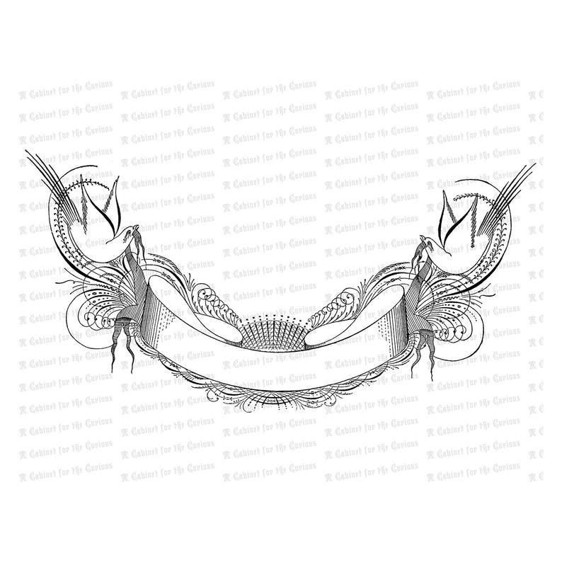 794x794 Fancy Blank Banner With Birds Vector Clip Art Victorian Etsy