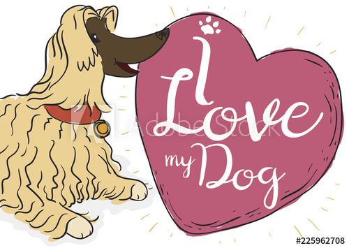 500x355 Fancy Female Afghan Hound Dog With A Heart, Vector Illustration