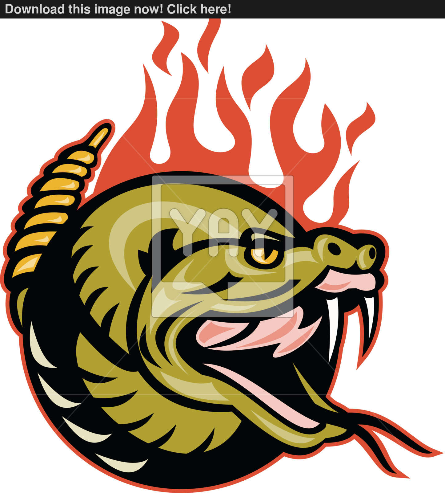 1446x1600 Rattlesnake Snake Head Fangs Vector