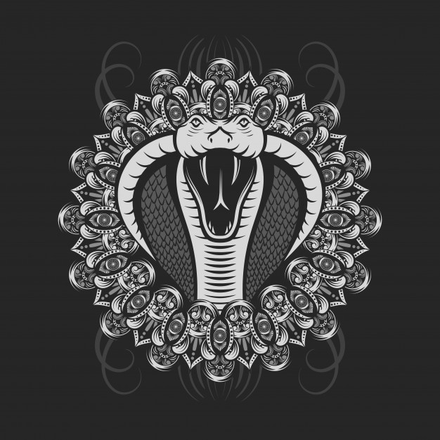 626x626 Silver Cobra Showing Fangs Vector Premium Download
