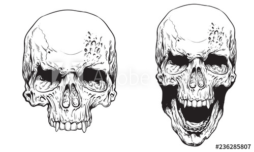 500x300 Skull With Fangs