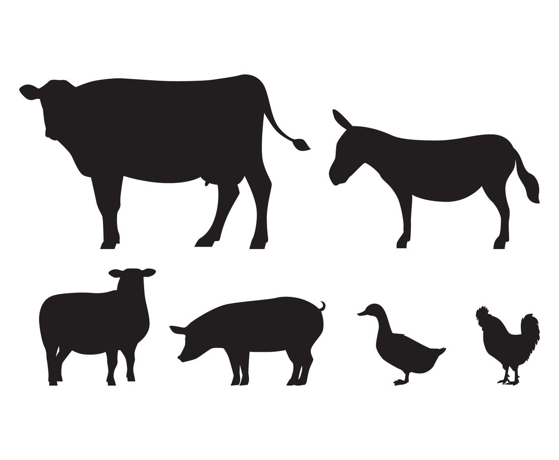 Download Farm Animal Silhouette Vector at Vectorified.com ...