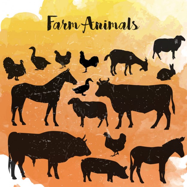 626x626 Farm Animals Silhouettes Vector Free Download