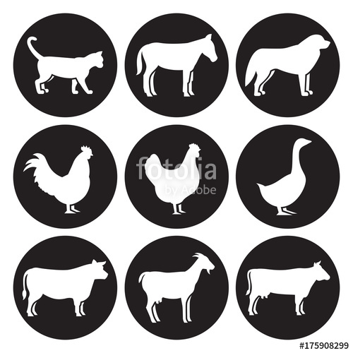 500x500 Farm Animals Silhouettes Icons Set Stock Image And Royalty Free