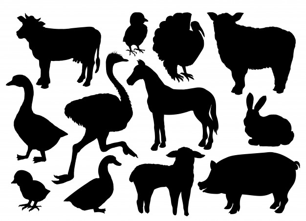 626x453 Pack Of Farm Animal Silhouettes Vector Free Download