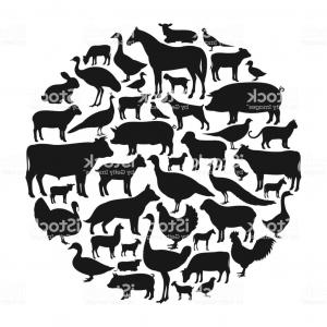 300x300 Vector Farm Animals Silhouettes Gm Hoodamathrun
