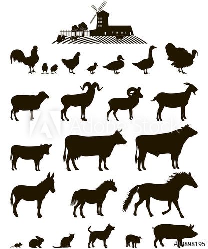 417x500 Vector Farm Animals Silhouettes Isolated On White Farm Animals
