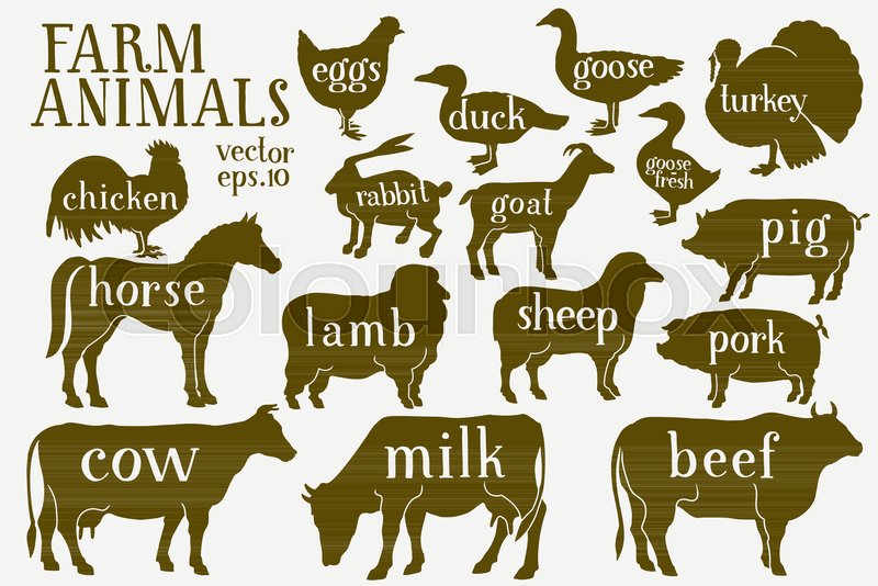 800x534 Vector Farm Animals Silhouettes Stock Vector Colourbox