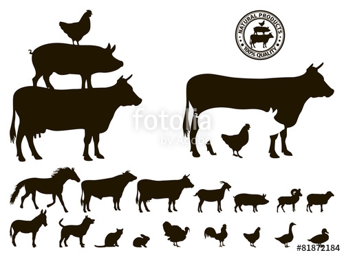 500x371 Vector Farm Animals Silhouettes Isolated On White Stock Image
