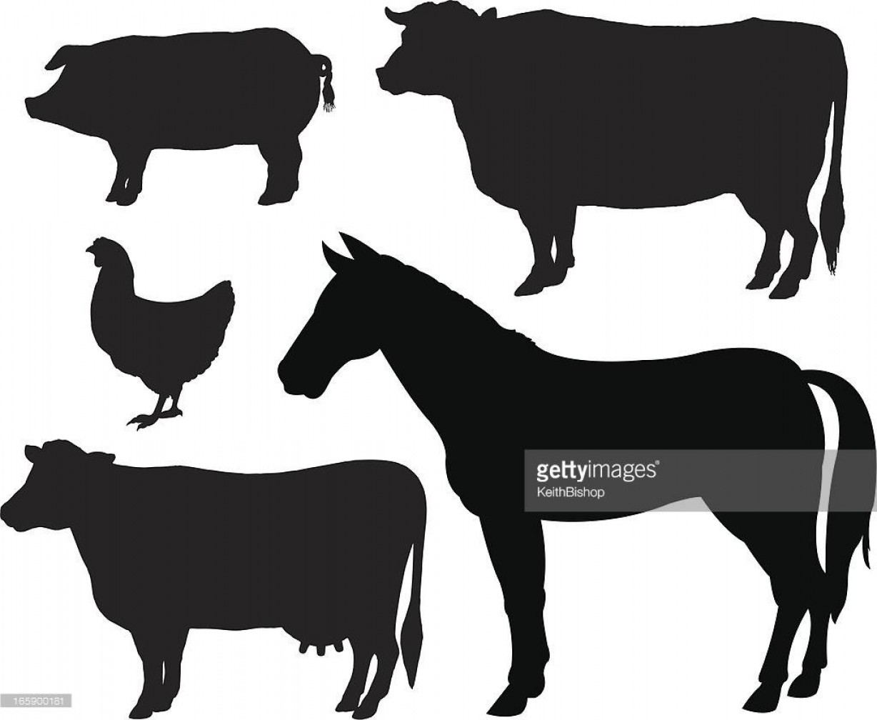 1228x1008 Farm Animal Silhouettes Cow Horse Pig Chicken Vector Soidergi