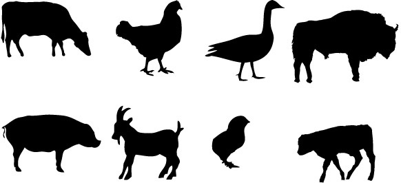 582x266 Farm Animals Vector Graphics Free Vector In Adobe Illustrator