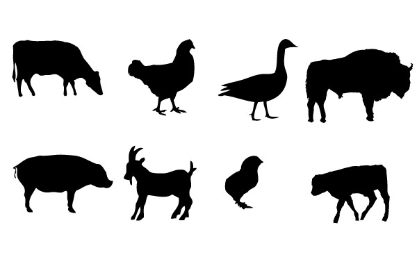 600x380 Free Vectors Farm Animals Vector Graphics