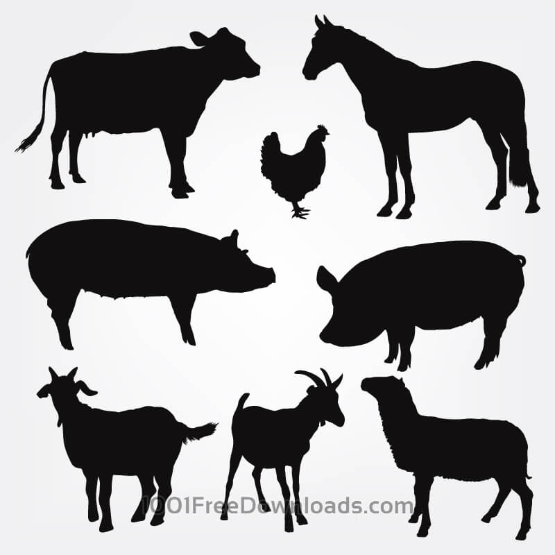 800x800 Free Vectors Vector Farm Animals Silhouettes Design