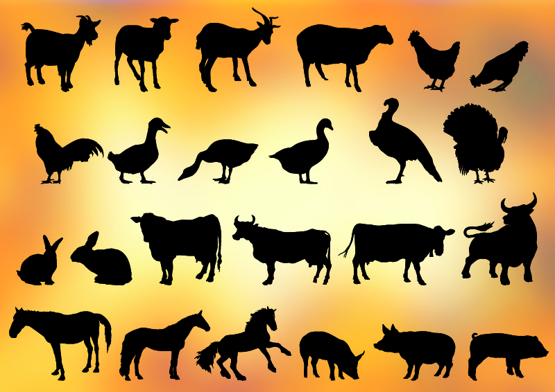 800x566 Farm Animal Silhouettes