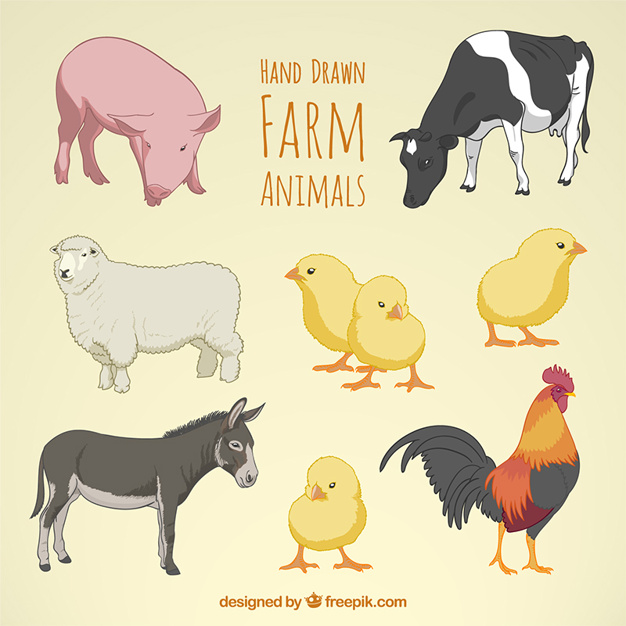 626x626 Hand Drawn Farm Animals Vector Free Download