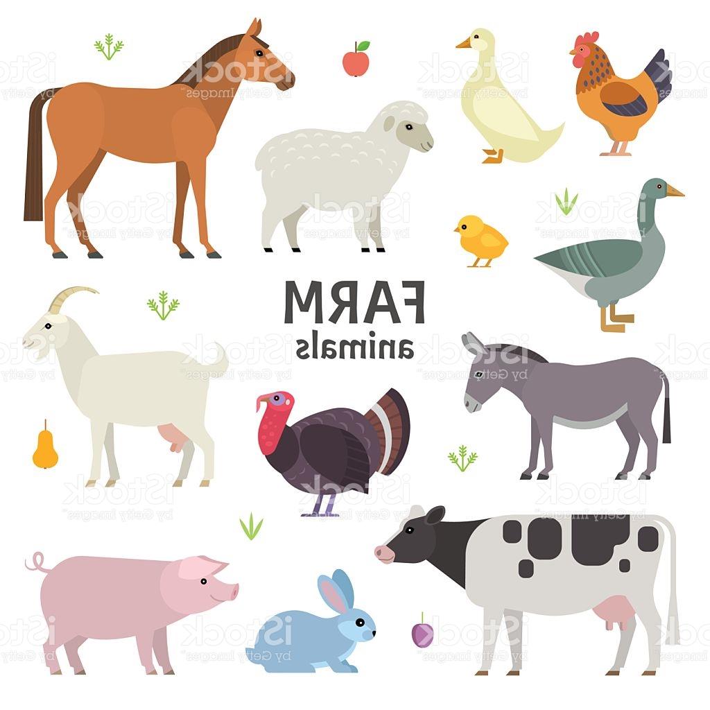 1024x1024 Unique Real Farm Animals Vector Images Free Vector Art, Images