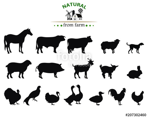 500x400 Vector Farm Animals Silhouettes Isolated On White Stock Image