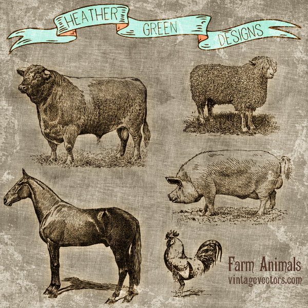 600x600 Farm Animal Vector Art Set Vintage Vectors