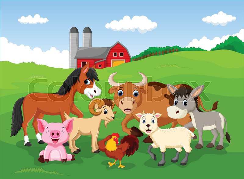 800x587 Vector Illustration Of Farm Background Stock Vector Colourbox