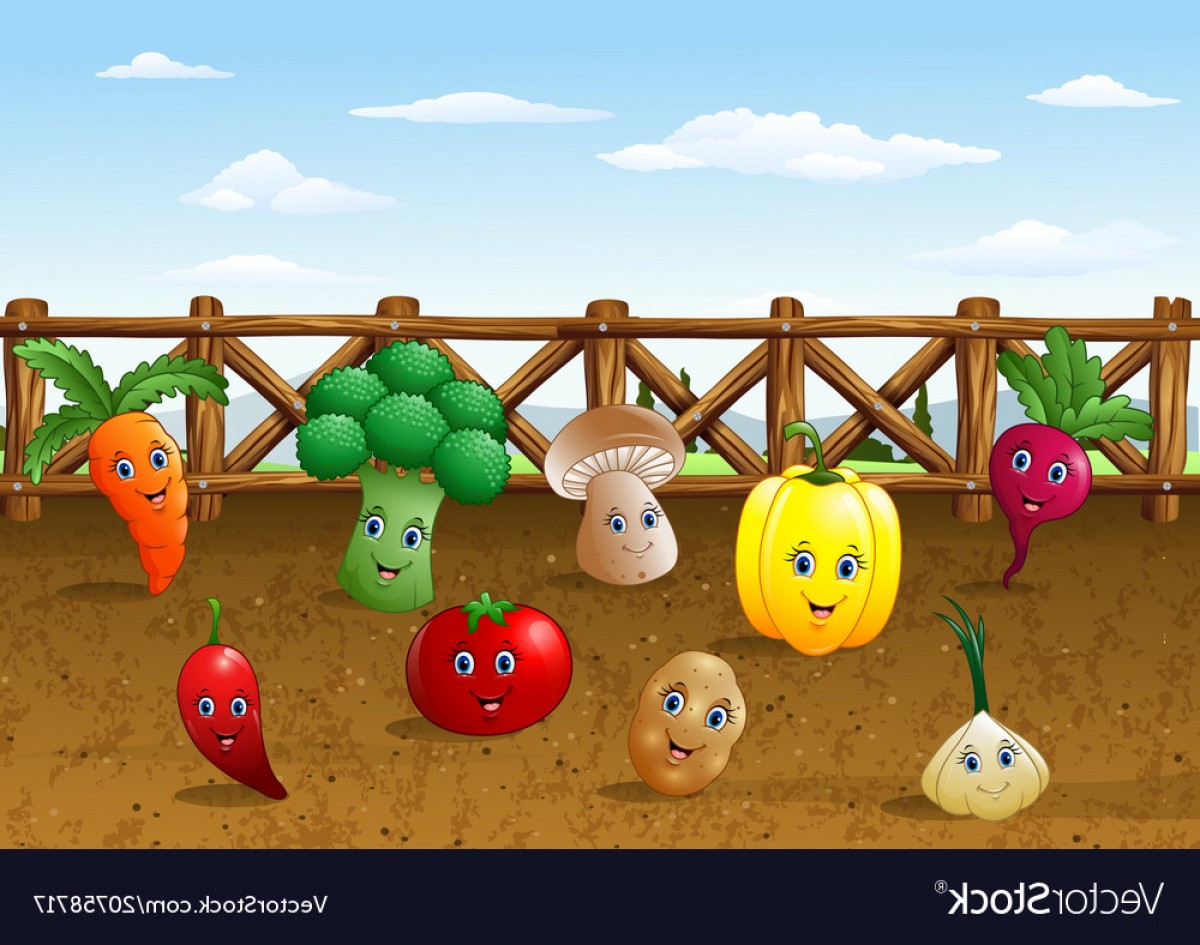 1200x945 Cartoon Vegetables Garden Farm Background Vector Savoyuptown
