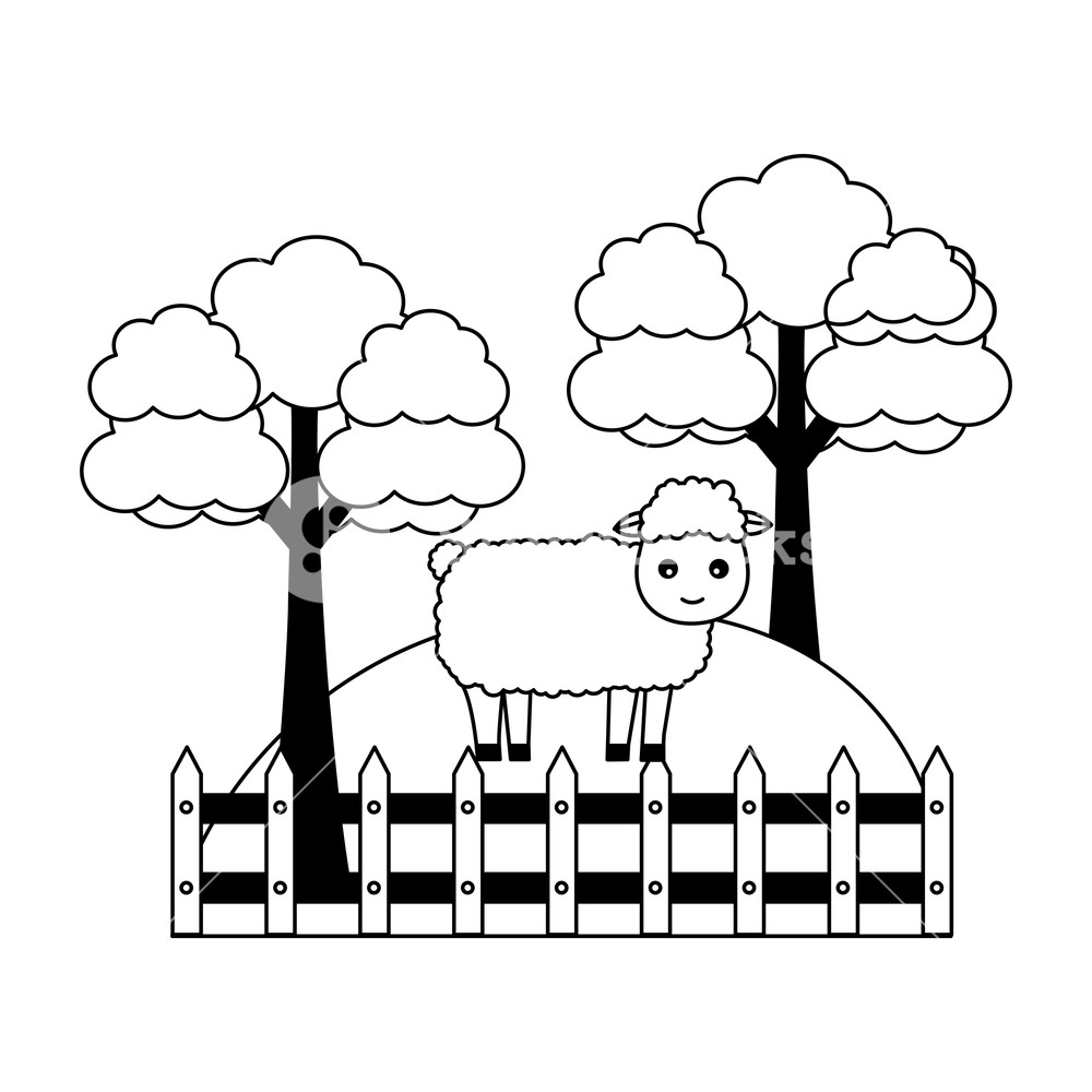 1000x1000 Sheep Trees Fence Grass Farm Animal Vector Illustration Royalty