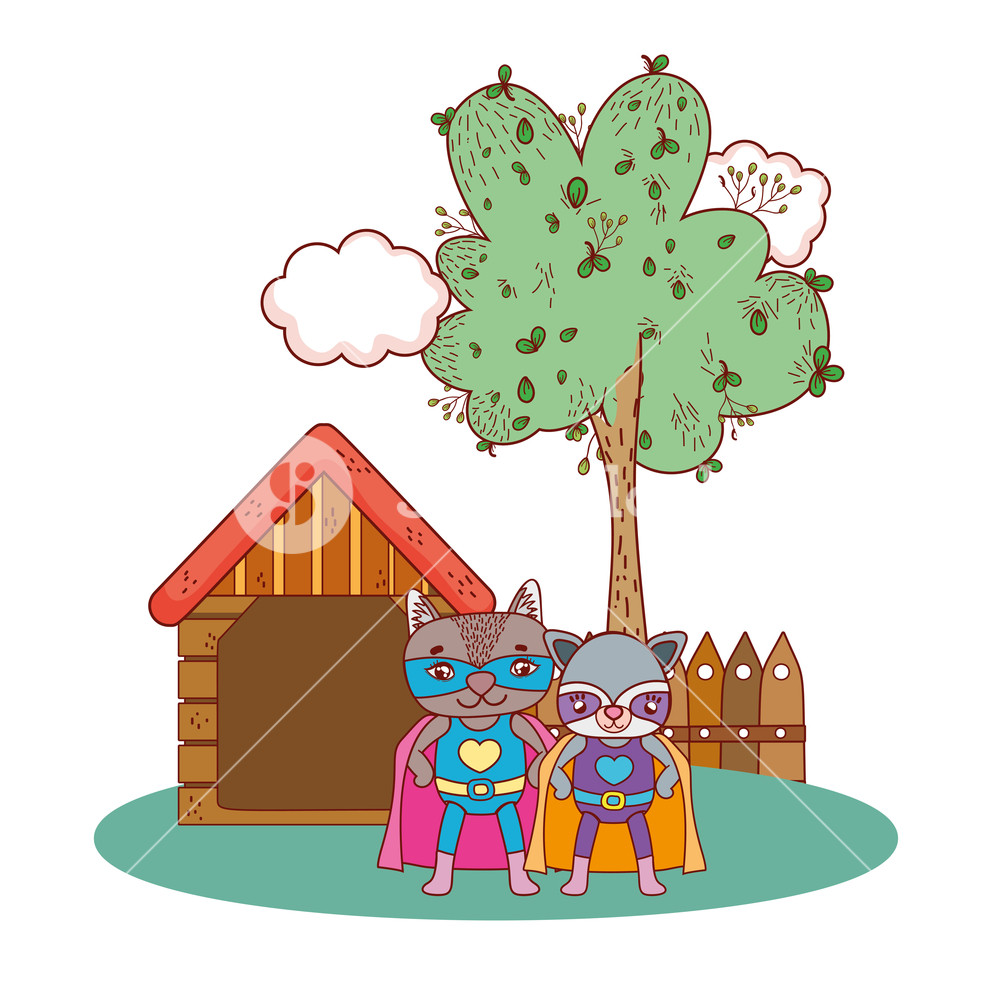 1000x1000 Raccoons Friends With Superhero Costume In The Farm House Vector