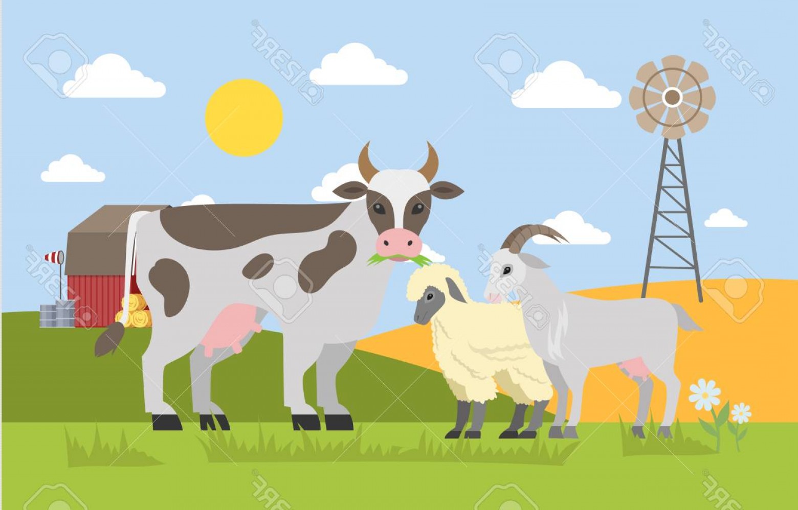 Photostock Vector Farm Animals Graze On The Field Farm Landscape 1560x998 Photostock Vector Farm Animals Graze On The Field Farm Landscape