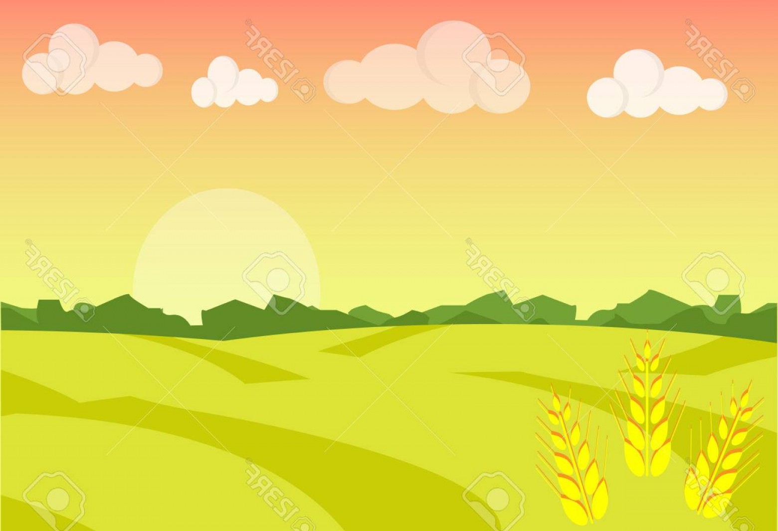 Photostock Vector Wheat Field Ripe Grow Agriculture Farm Landscape 1560x1065 Photostock Vector Wheat Field Ripe Grow Agriculture Farm Landscape